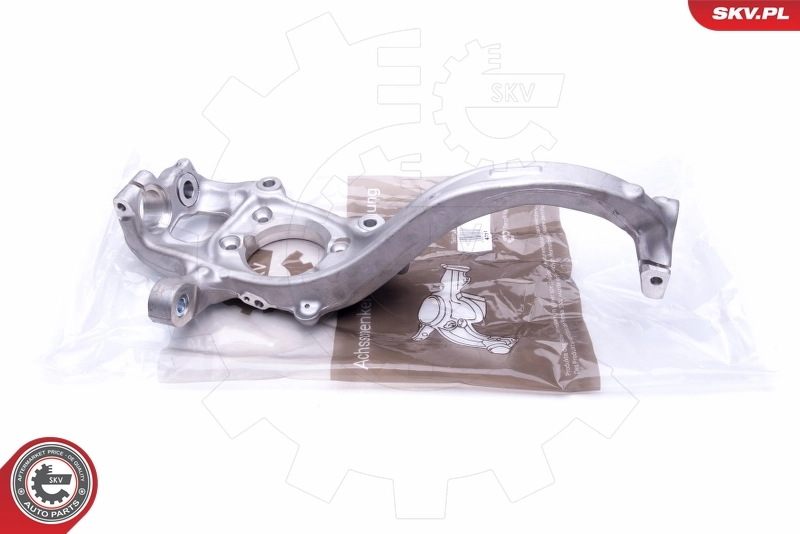 Steering Knuckle, wheel suspension
